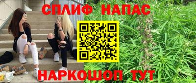 шишки Донской