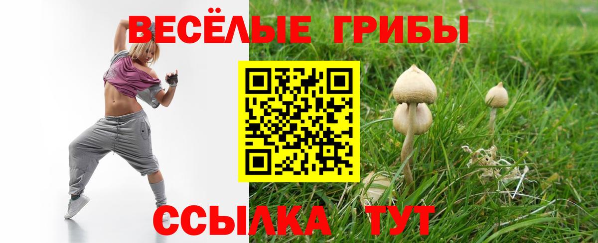 Галлюциногенные грибы мицелий Мурино